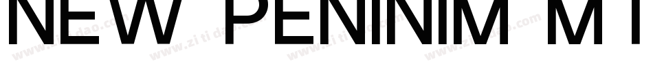 New Peninim MT regul字体转换